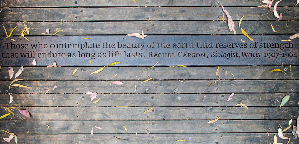 The quote reads “Those who contemplate the beauty of the earth find reserves and strength that will endure as long as life lasts”.