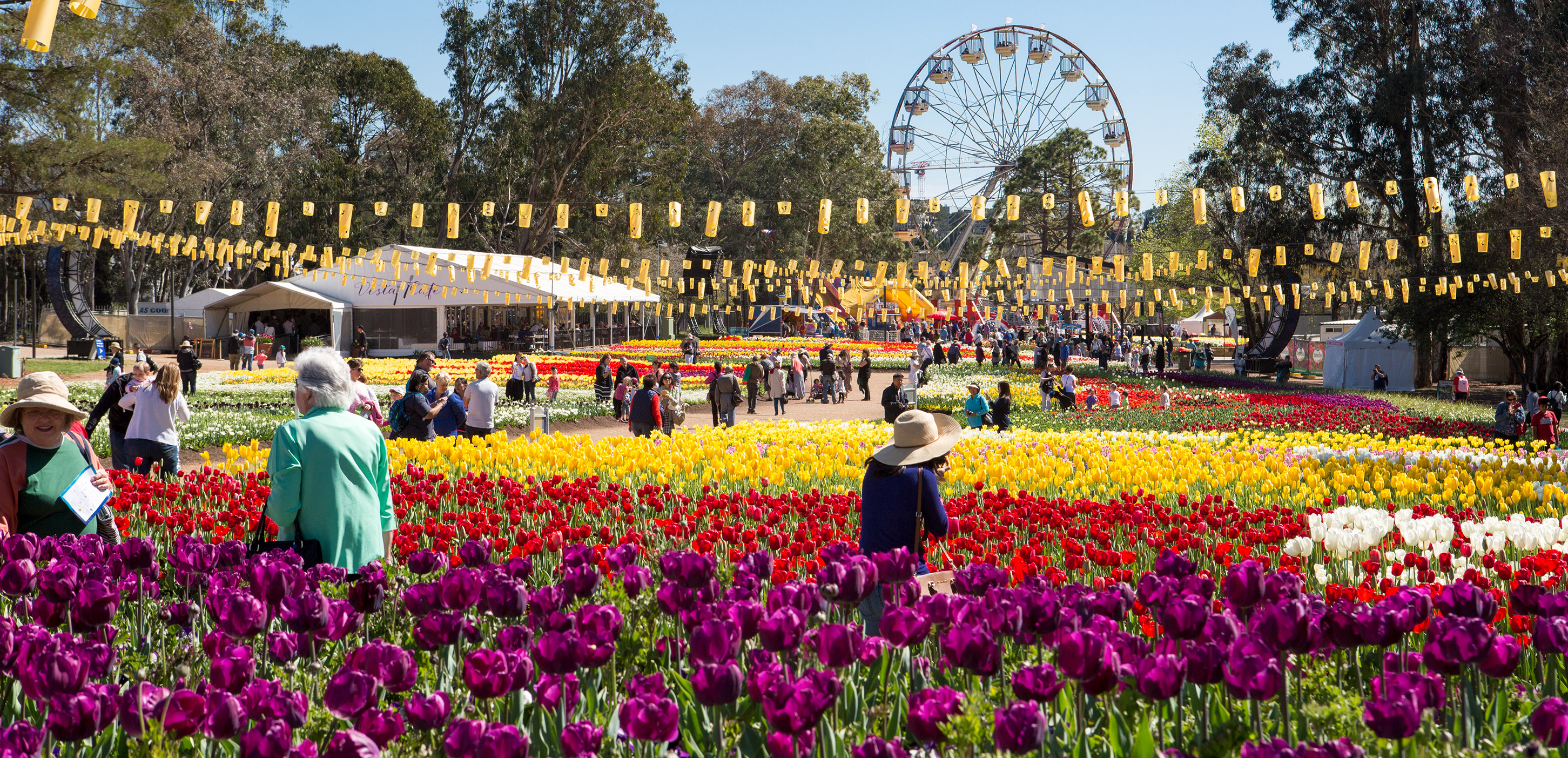 People walking among the large garden beds of tulips which are spread either side of Floriade’s main ‘avenue’. A ferris wheel is in the background. Colours include purple, red, pink, white, yellow and green.