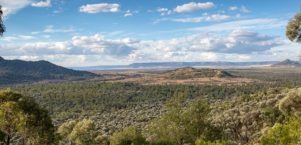Spectacular view over grasslands and low scrubland and forest. Sandstone ridges are in the background. Blue cloudy skies.